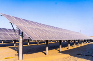 d20d203f-7d9c-4e10-b48b-0bdfc90ffc30.png d20d203f-7d9c-4e10-b48b-0bdfc90ffc30.png